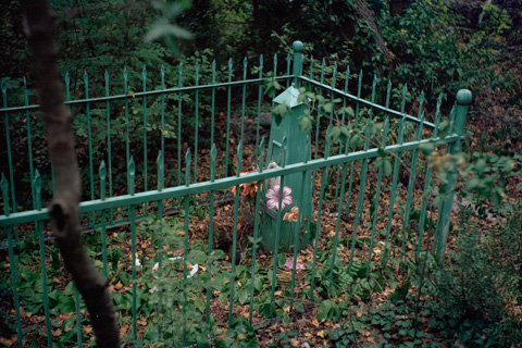 "plane - train - woman - sanatorium - cemetery" (Russland - Ukraine, 2013)